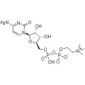 Citicoline CAS: 987-78-0